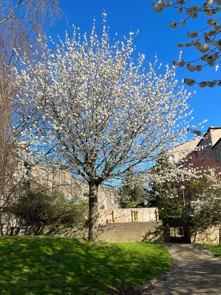 Image uploaded by William