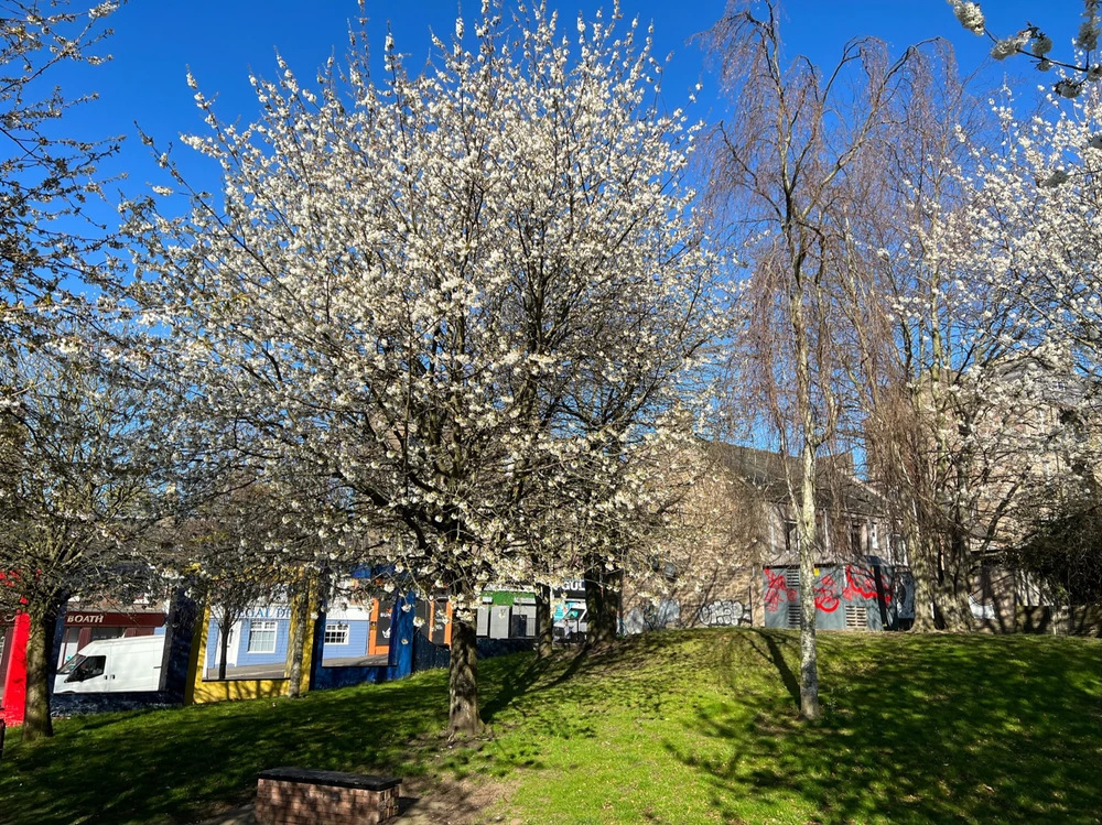 Image uploaded by William