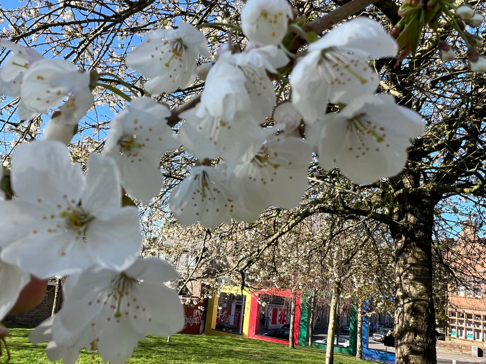 Image uploaded by William