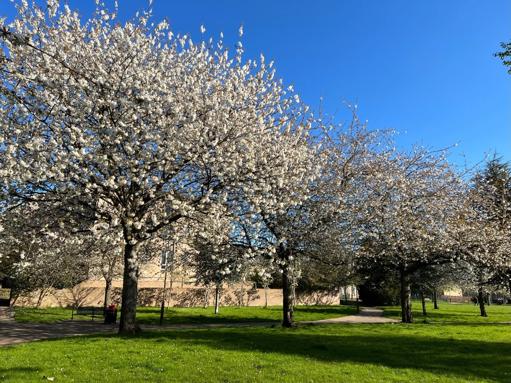 Image uploaded by William