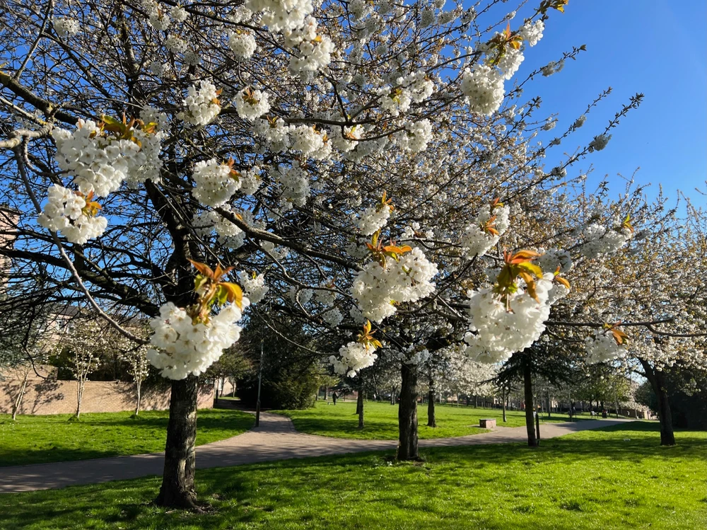 Image uploaded by William