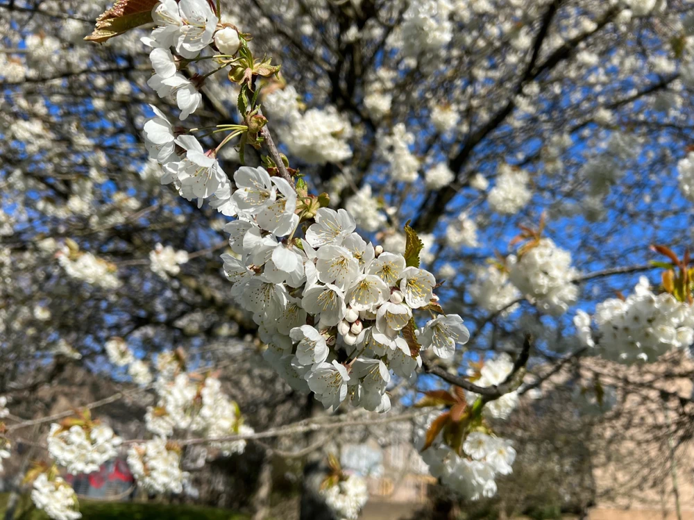 Image uploaded by William