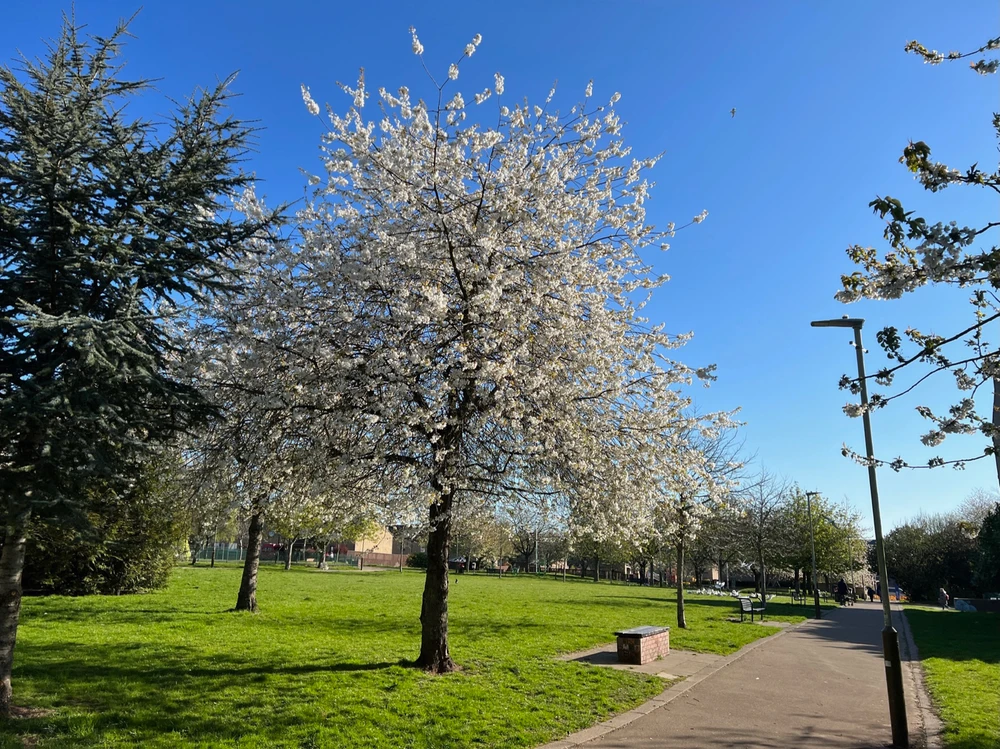 Image uploaded by William