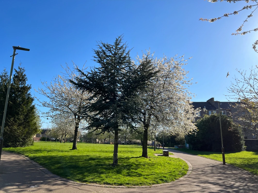 Image uploaded by William