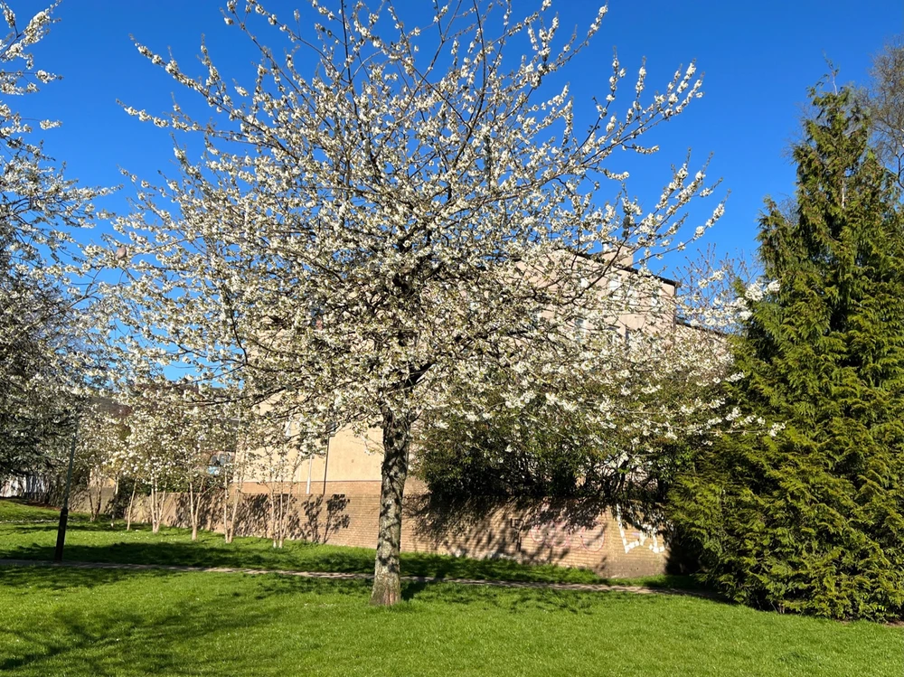 Image uploaded by William