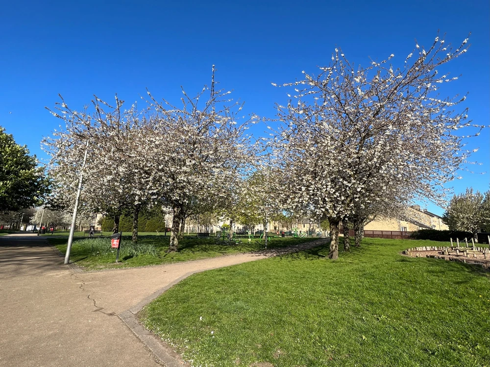 Image uploaded by William