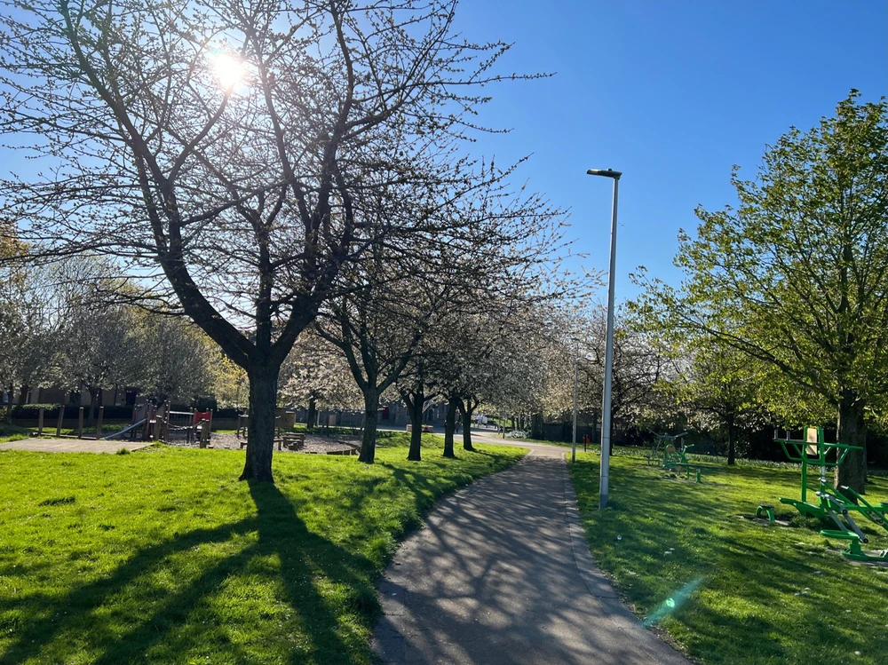 Image uploaded by William