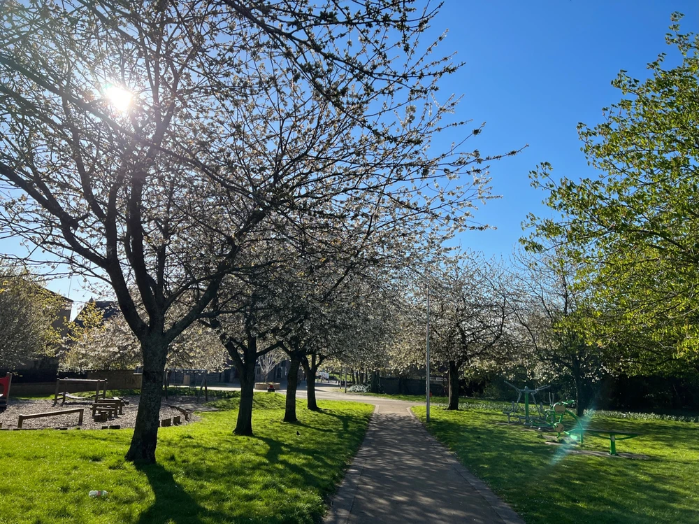 Image uploaded by William