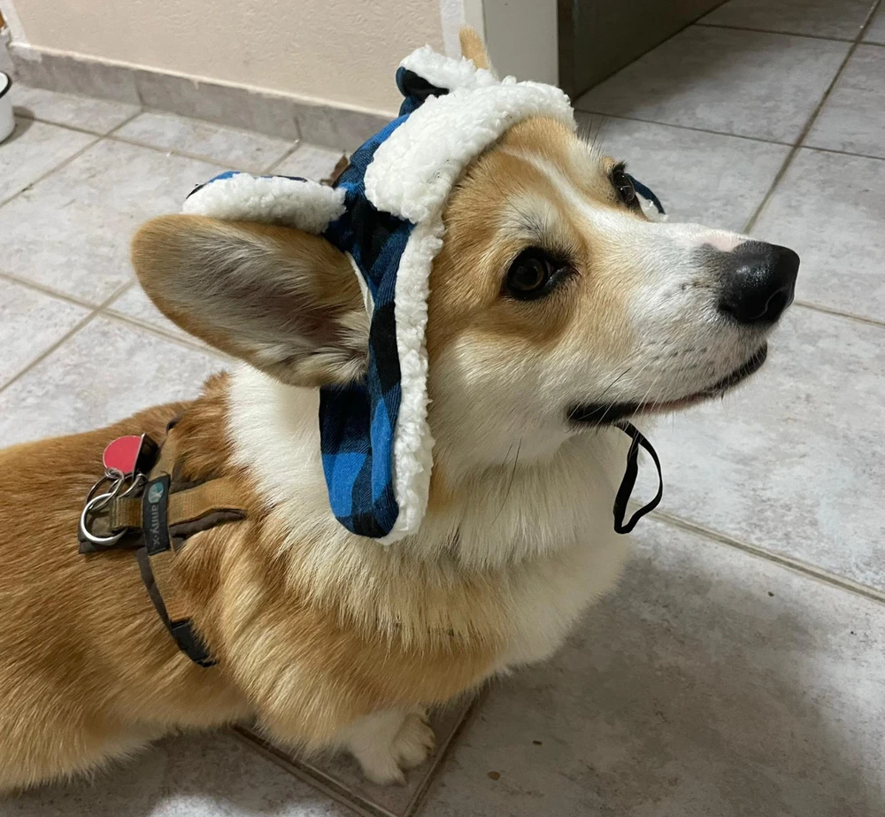 GIF hochgeladen von Gabriel