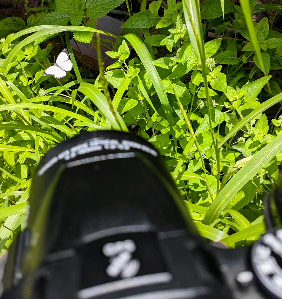 GIF enviado por Milla