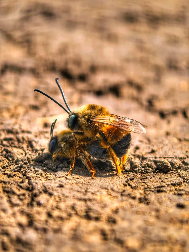 GIF încărcat de CCC