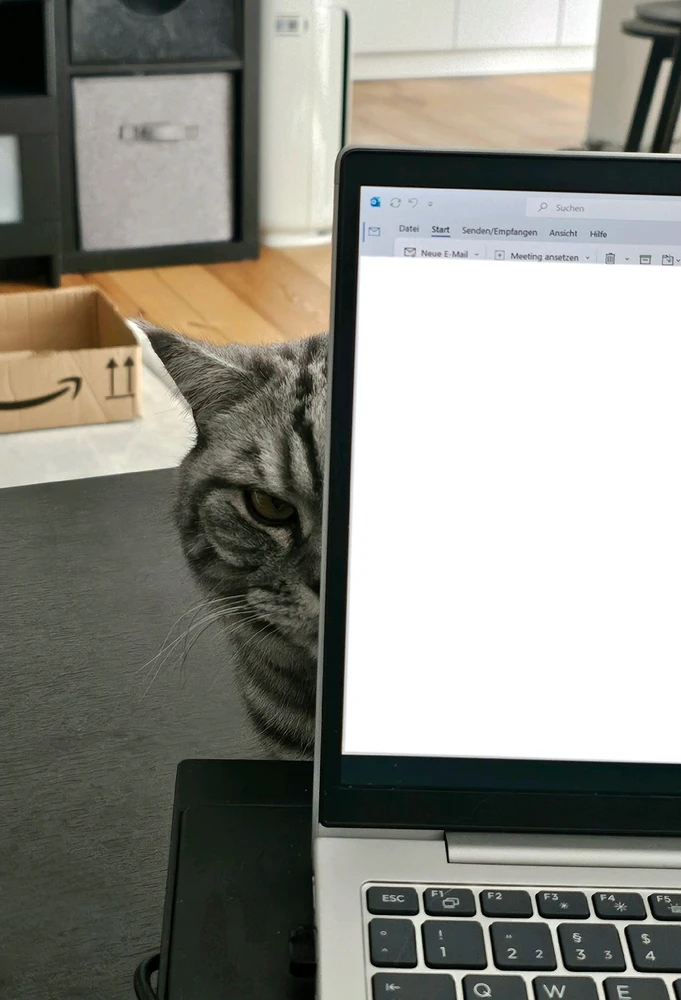 GIF hochgeladen von Jessïçå