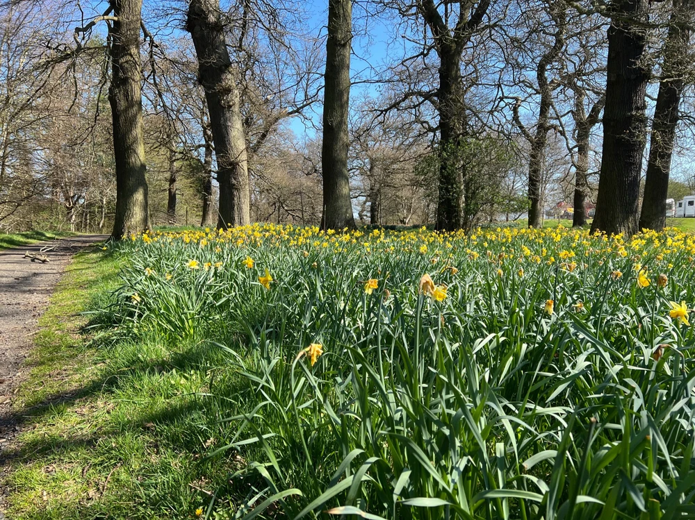 Image uploaded by William