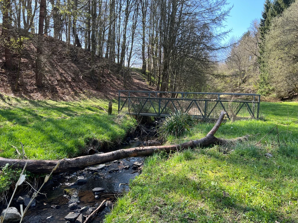 Image uploaded by William