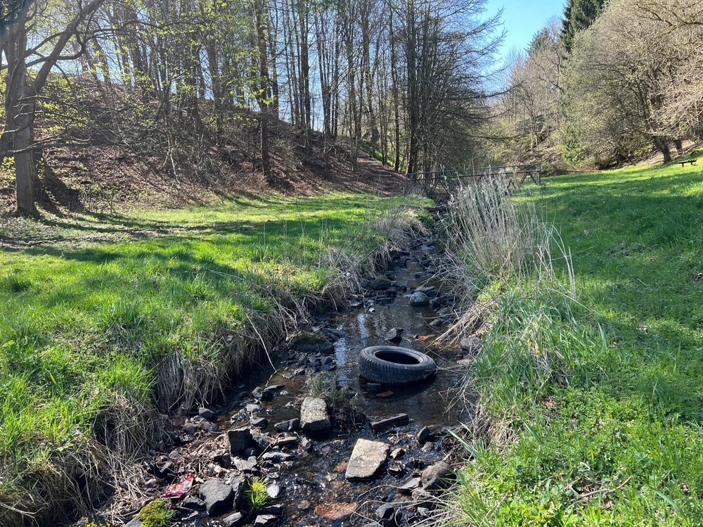 Image uploaded by William