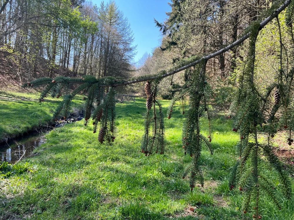 Image uploaded by William