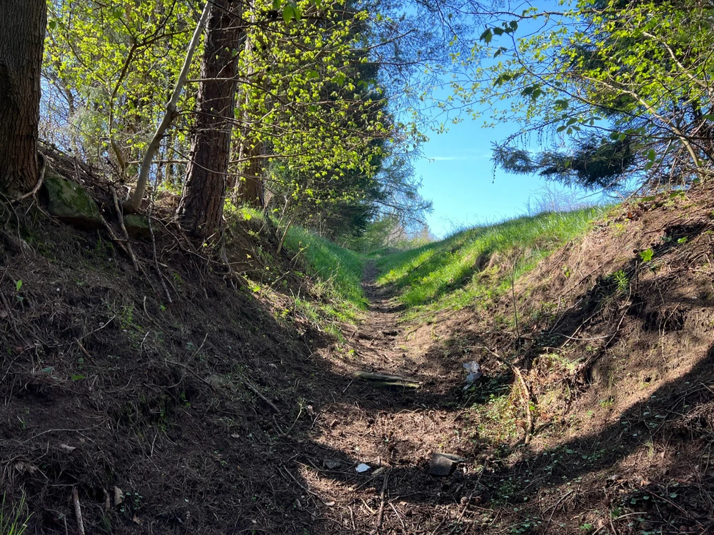 Image uploaded by William