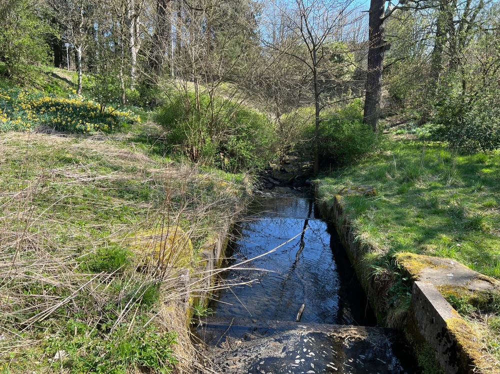 Image uploaded by William