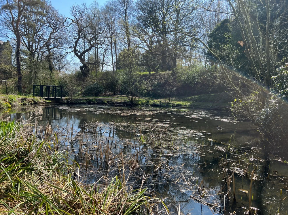 Image uploaded by William