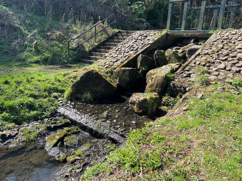 Image uploaded by William