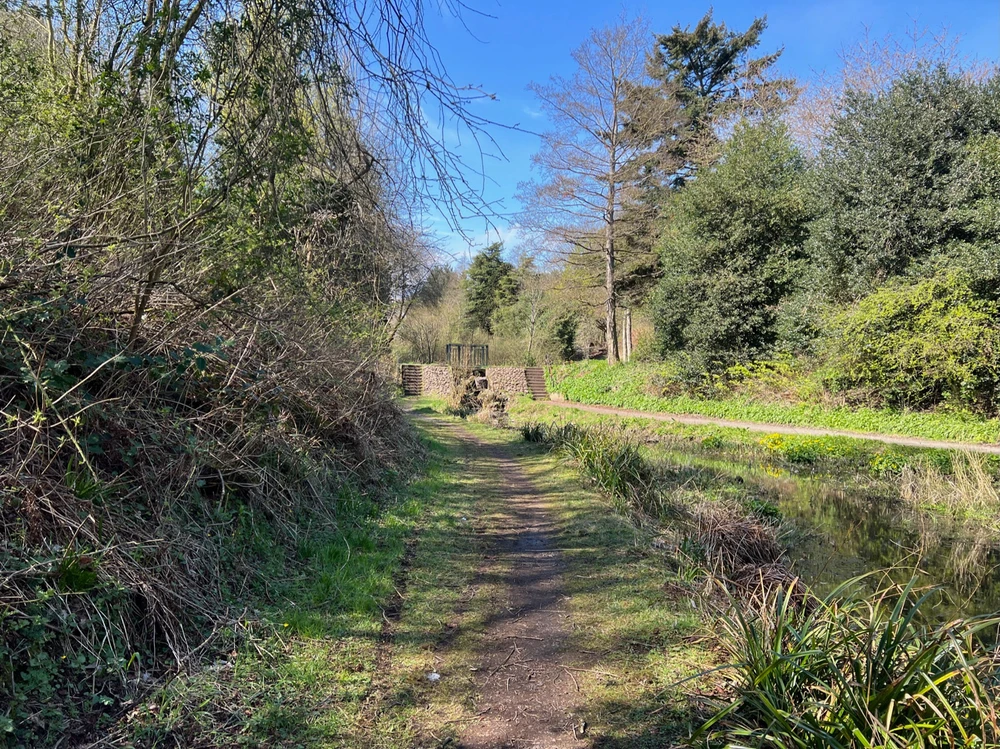 Image uploaded by William