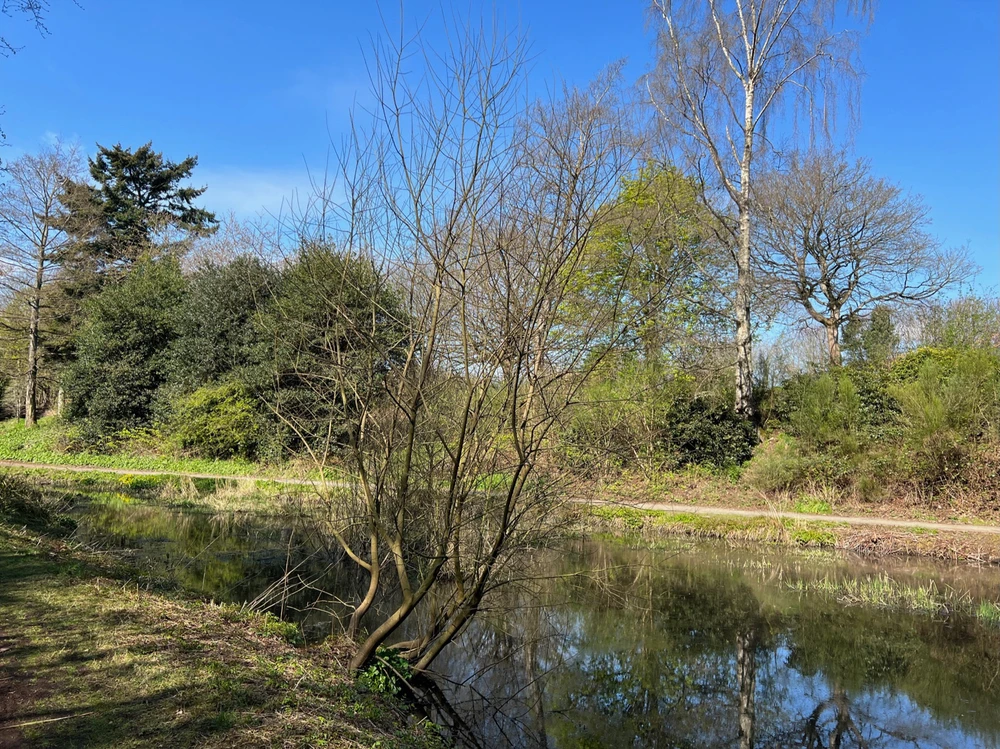 Image uploaded by William