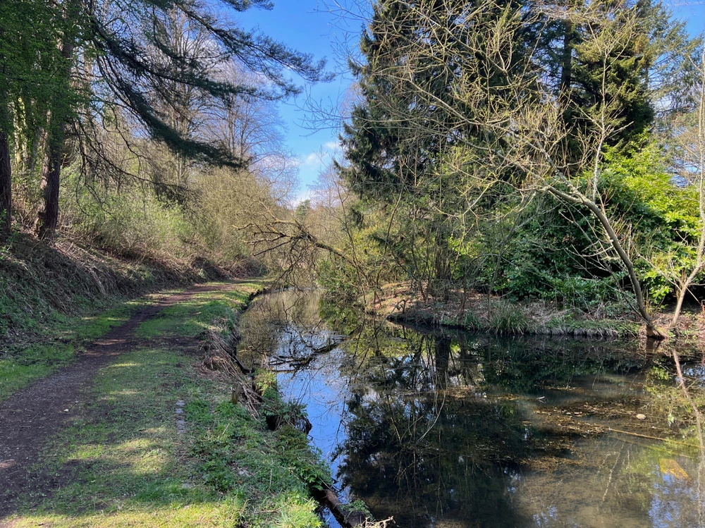 Image uploaded by William