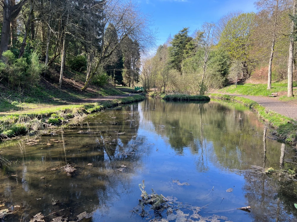 Image uploaded by William