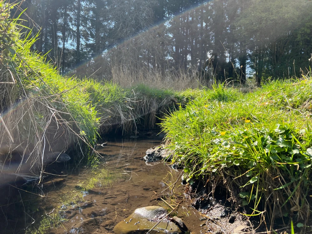 Image uploaded by William