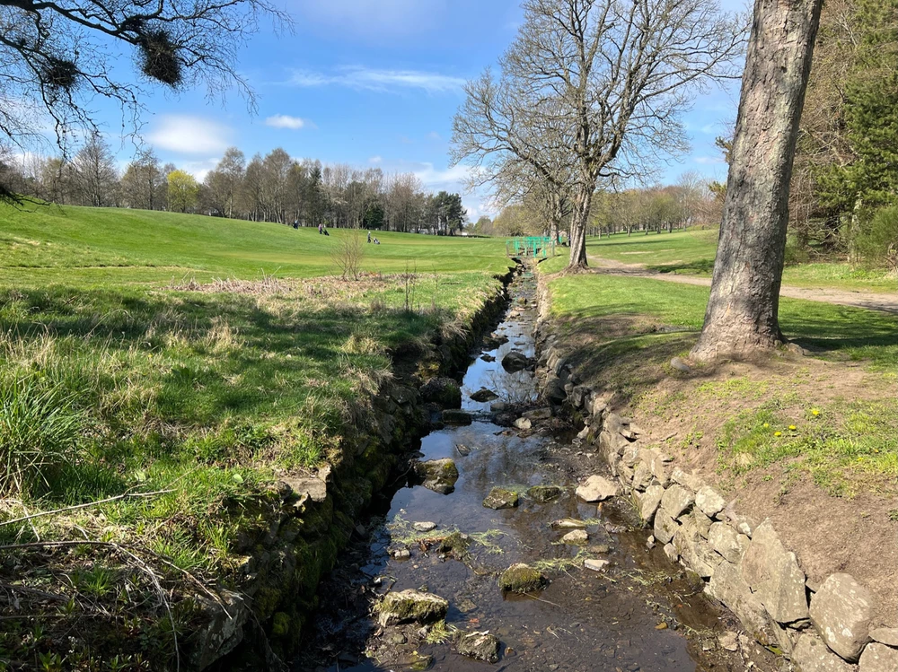 Image uploaded by William