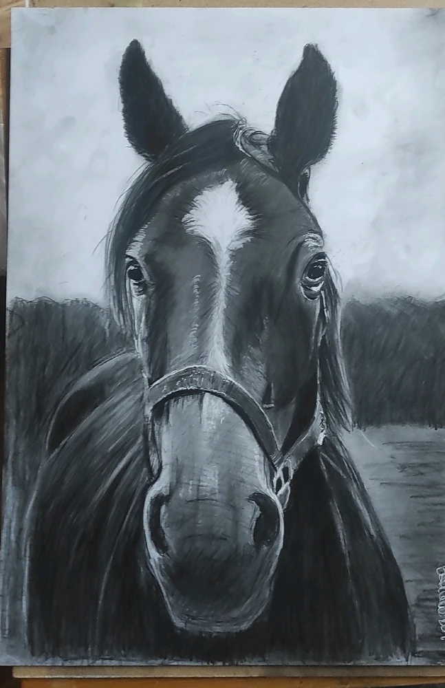 GIF dodany przez Krzysiek