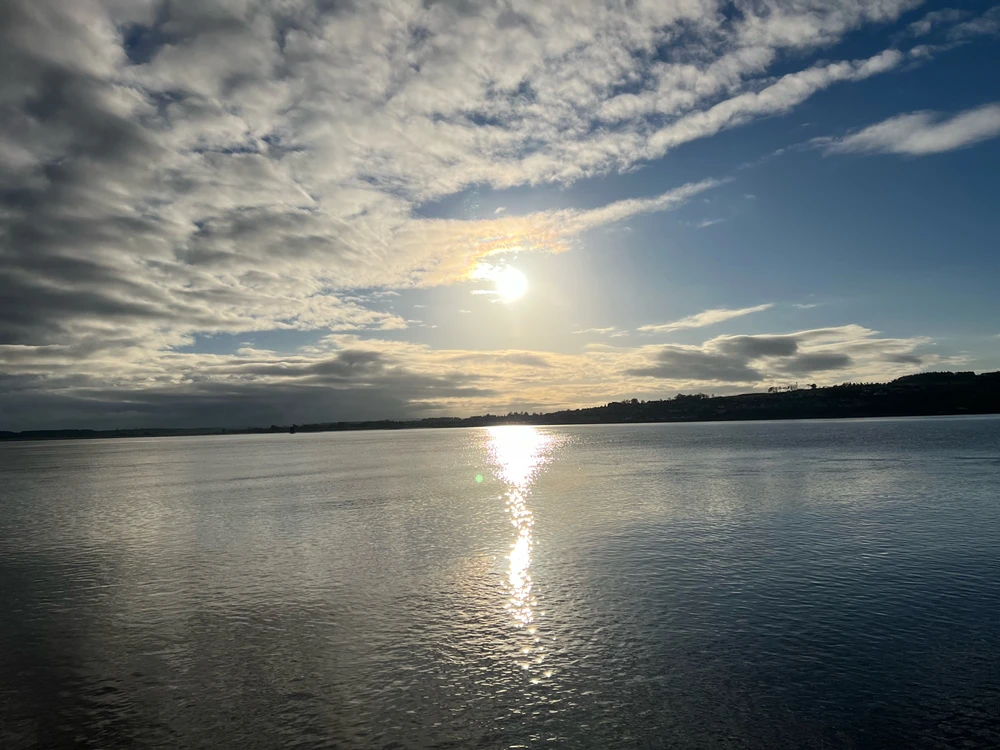 Image uploaded by William