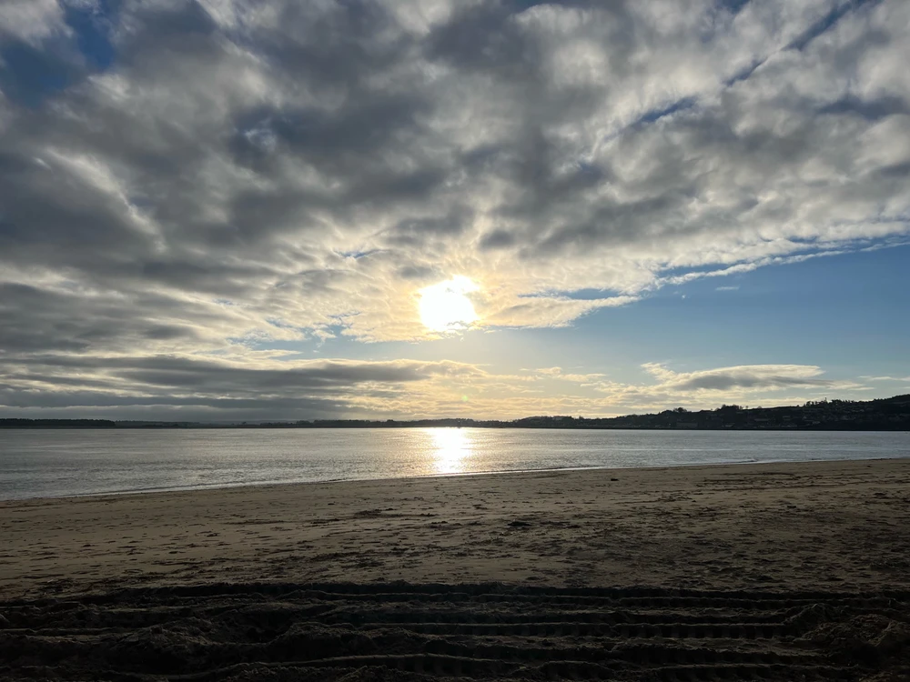 Image uploaded by William