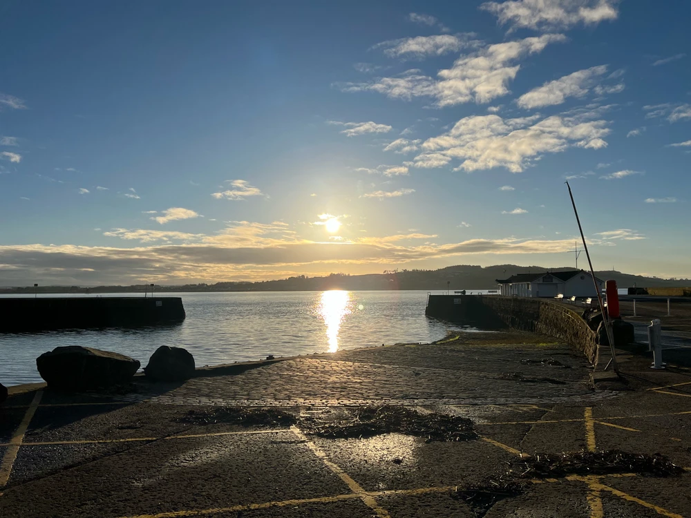 Image uploaded by William