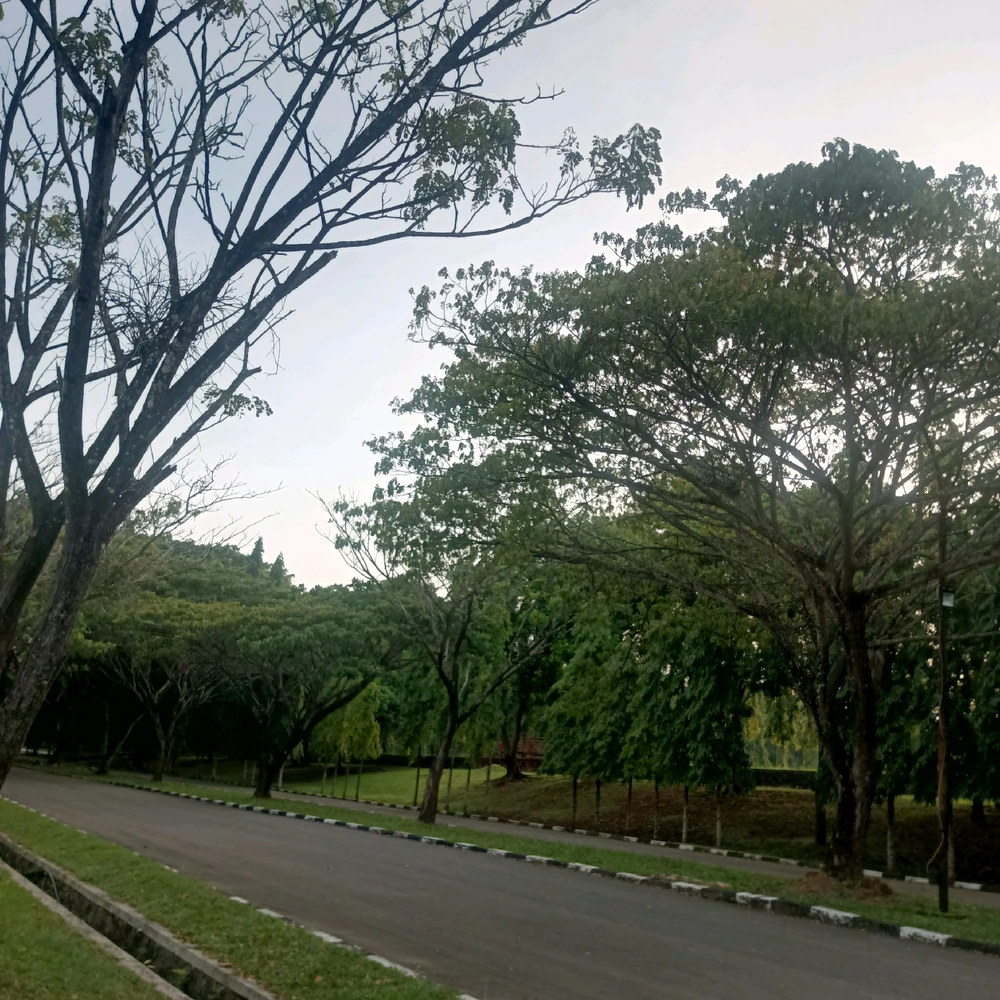 GIF uploaded by Tata