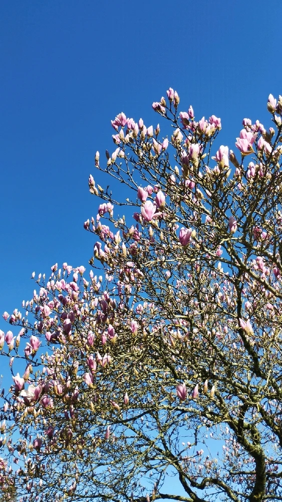 GIF ajouté par Océane 🦋