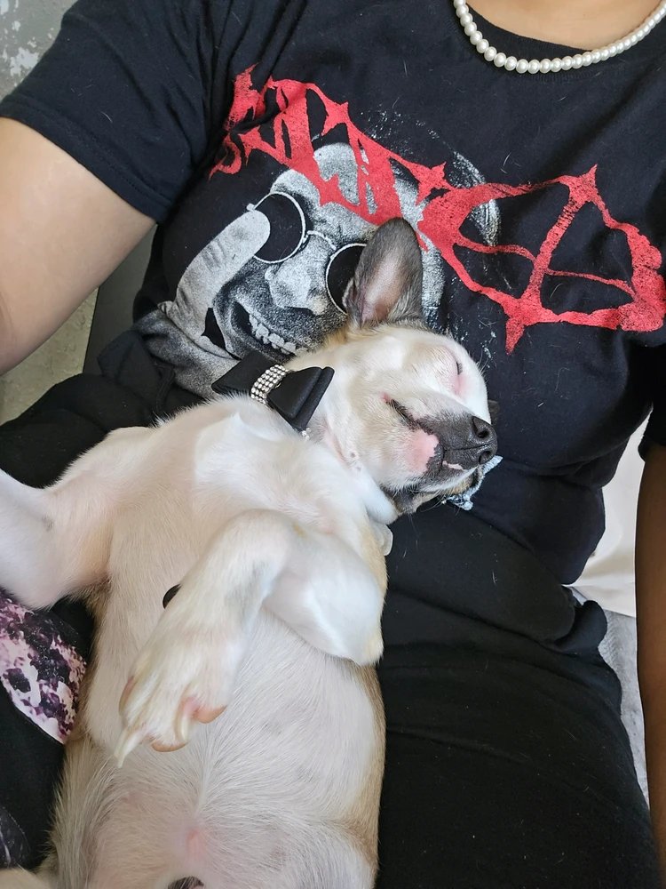 GIF uploaded by gabriella