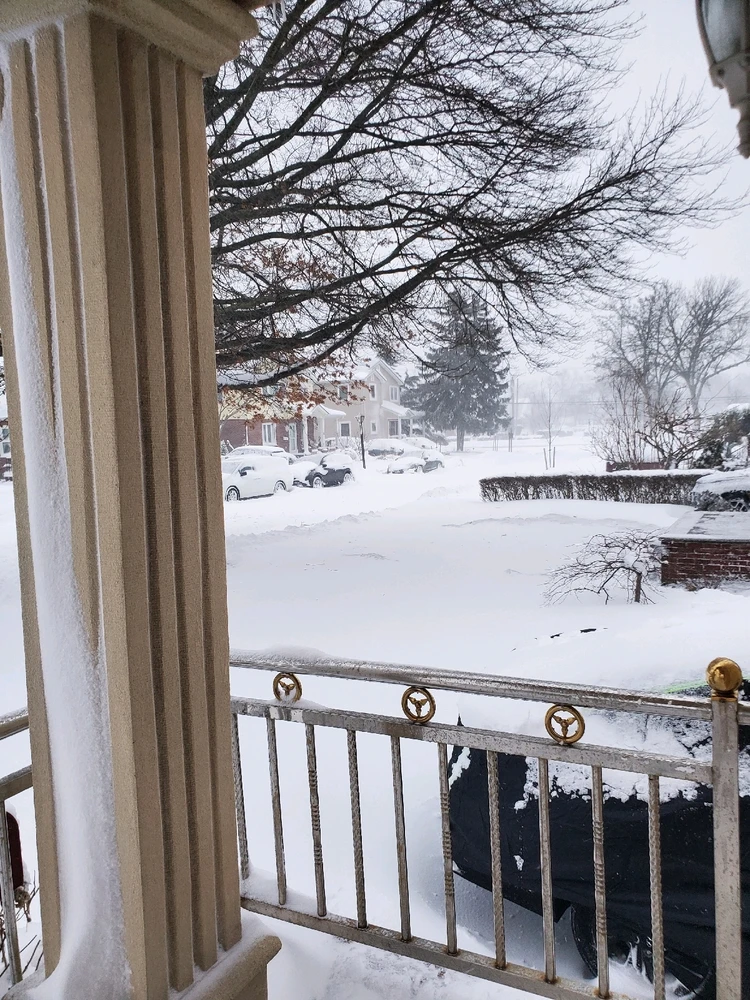 Image uploaded by Shihab Shahidullah