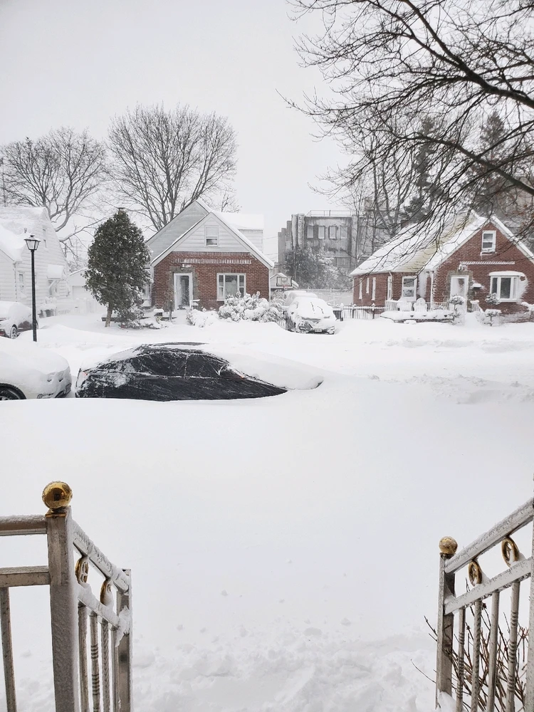 Image uploaded by Shihab Shahidullah