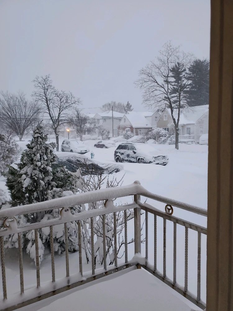 Image uploaded by Shihab Shahidullah