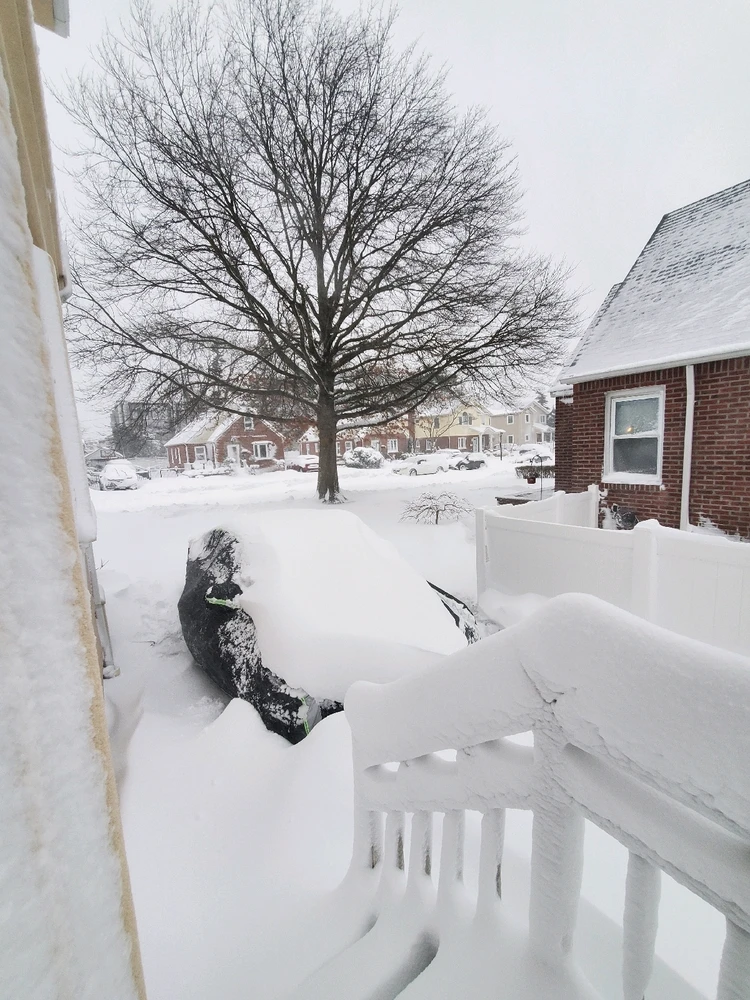 Image uploaded by Shihab Shahidullah