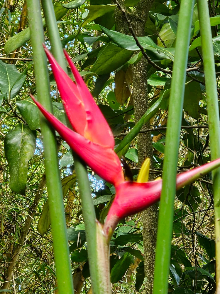 GIF hochgeladen von Lou