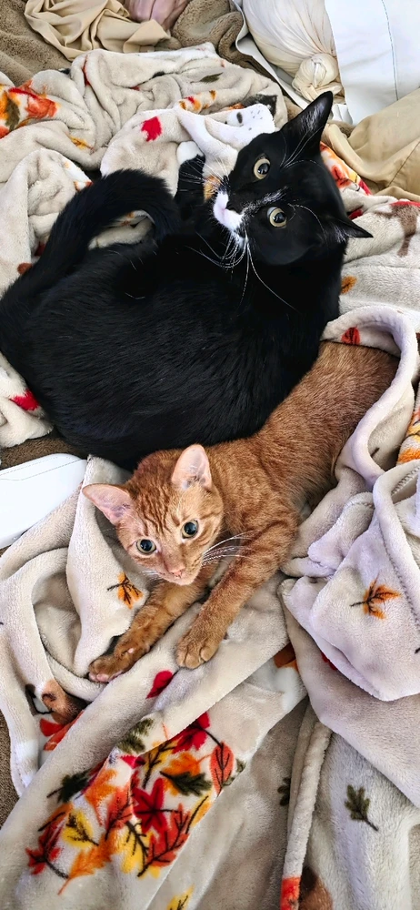 GIF uploaded by Michael