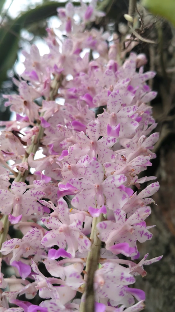 GIF uploaded by Dewwy