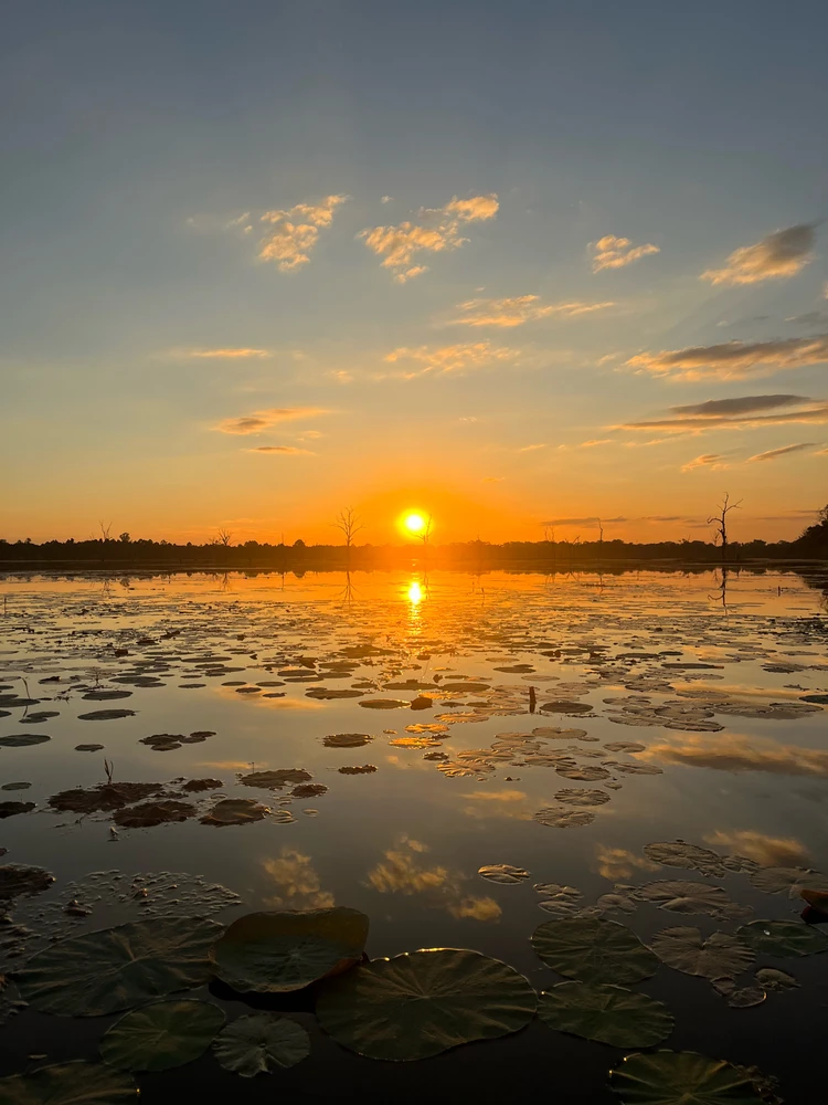 GIF uploaded by Diamond