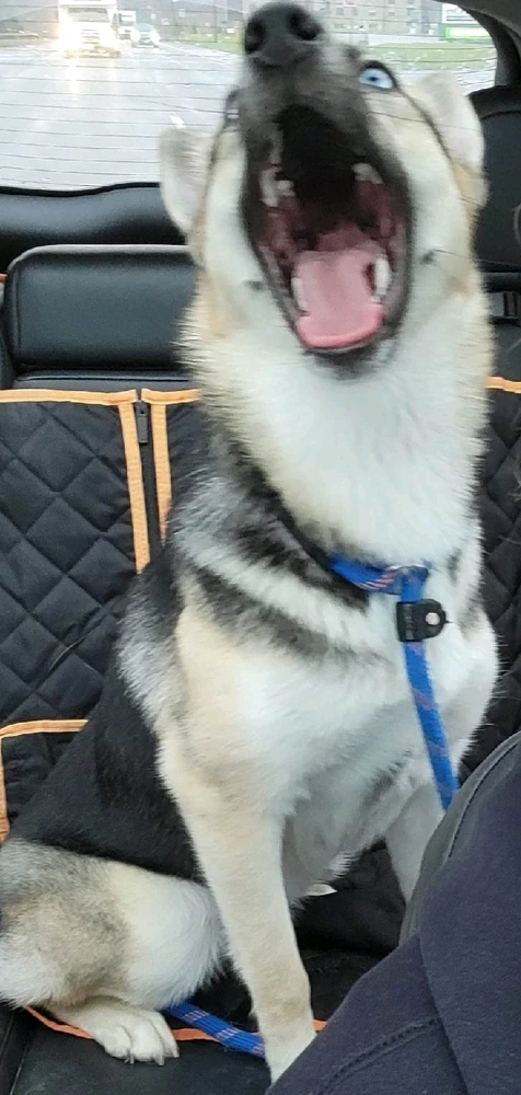 GIF uploaded by Ashley