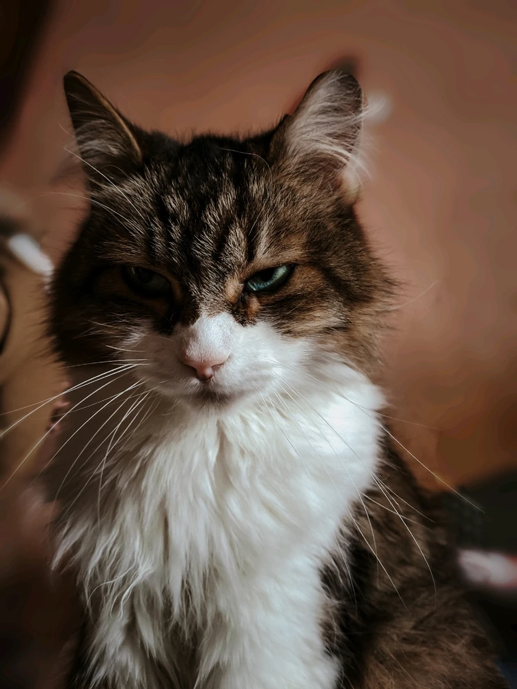 Зображення завантажив Ріона