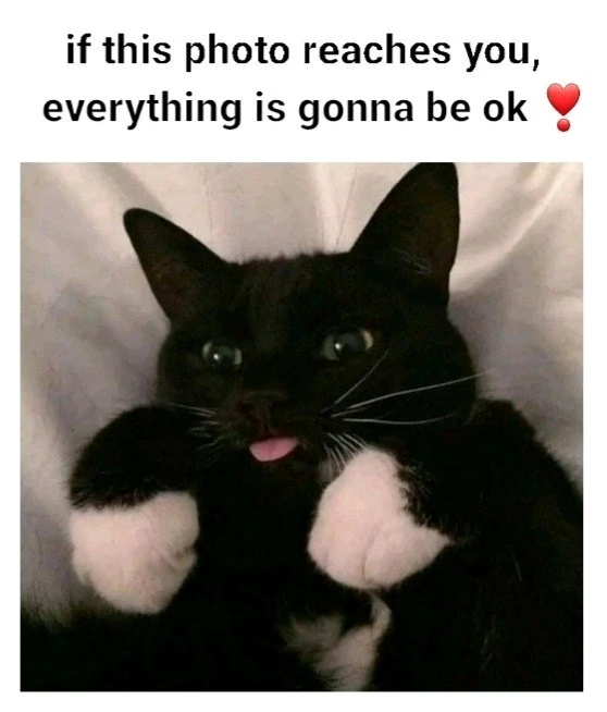 GIF uploaded by Sylvie