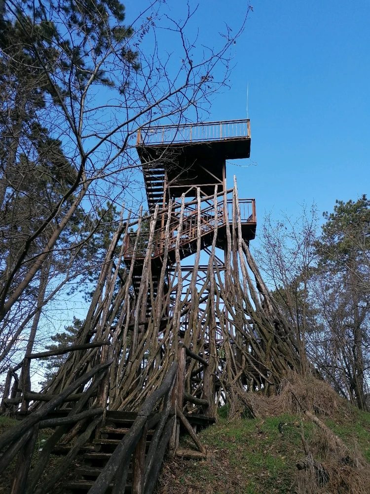 Image uploaded by Szabolcs