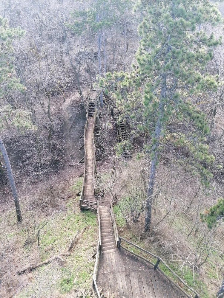 Image uploaded by Szabolcs